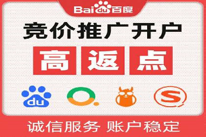某品牌SEM广告投放的ROI提升案例